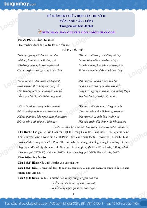 Đề thi giữa kì 2 Văn 9 - Đề số 10